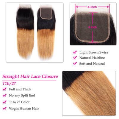 Ombre Straight Hair T1B/27 Color Evan Hair Brazilian Straight Hair Bundles With Closure - Image 7