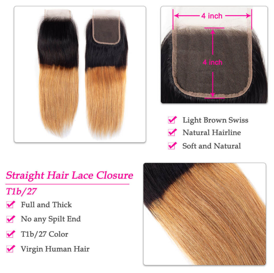 Ombre Straight Hair T1B/27 Color Evan Hair Brazilian Straight Hair Bundles With Closure - Image 7