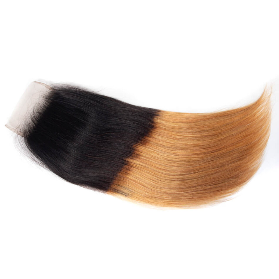 Ombre Straight Hair T1B/27 Color Evan Hair Brazilian Straight Hair Bundles With Closure - Image 6